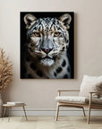 Snow Leopard Black Portrait