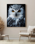 Snowy Owl Black Portrait
