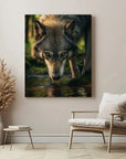 Wolf Drinking Water