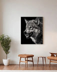 Wolf Iced Out