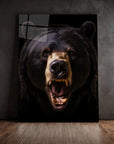 American Black Bear Black Portrait