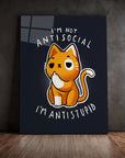 Antistupid Cat