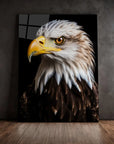 Bald Eagle Black Portrait