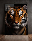 Bengal Tiger Black Portrait