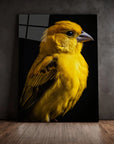 Canary Black Portrait