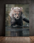 Cheetah Cub Water