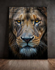 Close Up Lion