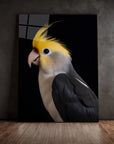 Cockatiel Black Portrait