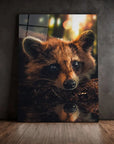 Cute Raccoon