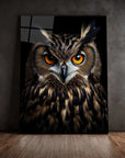 Earasian Eagle Owl Black Portrait