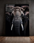 Elephant Black Portrait