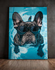 French Bulldog Swimming
