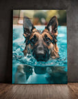 German Shepherd Swimming