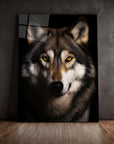 Gray Wolf Black Portrait