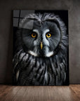 Great Grey Owl Black Portrait