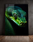 Green Snake Black Portrait