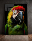 Macaw Parrot Black Portrait