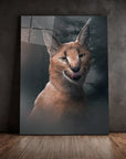 Moody Caracal