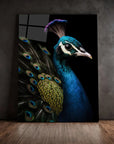 Peacock Black Portrait