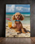 Poodle Beach