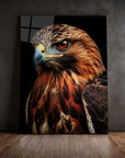 Red Tailed Hawk Black Portrait