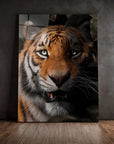 Tiger Portrait