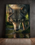 Wolf Drinking Water