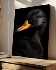 Black Duck Black Portrait