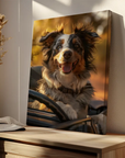 Border Collie Car