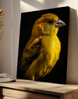 Canary Black Portrait