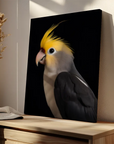 Cockatiel Black Portrait