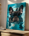 French Bulldog Swimming