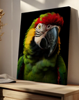 Macaw Parrot Black Portrait