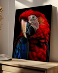 Scarlet Macaw Parrot Black Portrait