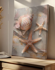 Sea Star Shell