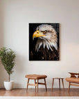 Bald Eagle Black Portrait