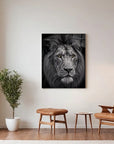 Black And White Lion