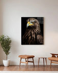 Golden Eagle Black Portrait