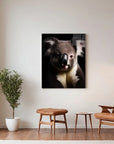 Koala Black Portrait