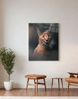 Moody Caracal