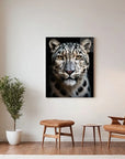 Snow Leopard Black Portrait