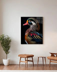Wood Duck Black Portrait