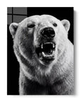 Polar Bear Iced Out