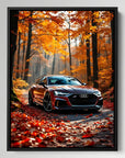 Autumn Colors Audi