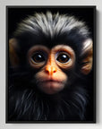Baby Colobus Monkey Black Portrait