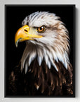 Bald Eagle Black Portrait