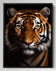 Bengal Tiger Black Portrait