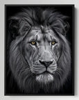Black And White Lion