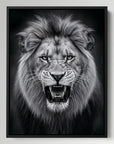 Black And White Roaring Lion