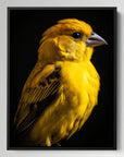 Canary Black Portrait